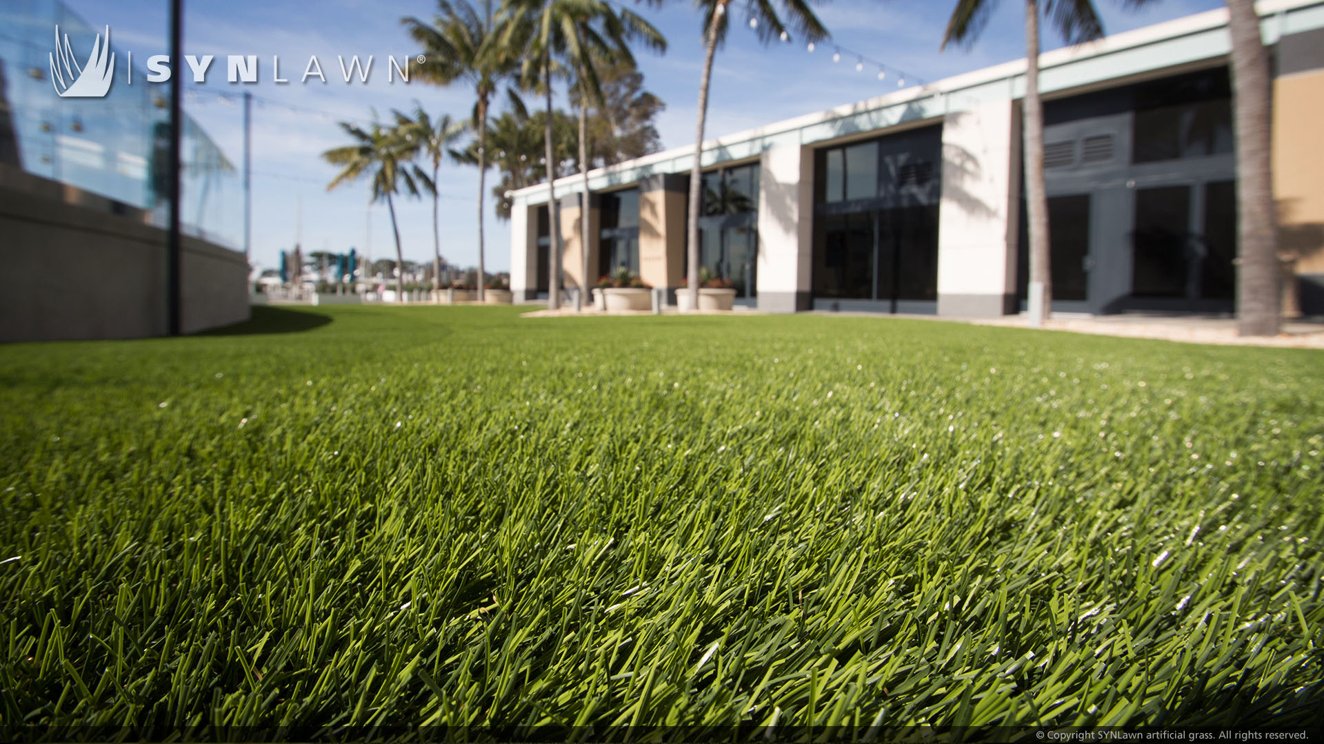 Commercial artificial grass lawn installed by SYNLawn