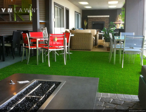 5 Reasons You Should Make the Switch to Colorado Artificial Grass Pet Turf