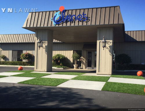 Improve Your Storefront Appeal with Commercial Artificial Grass in Colorado