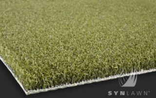 SYNLawn Golf Precision Putt Pro