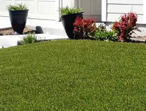 Luxurious Commercial Artificial Grass in Denver, CO, Is Always Picture Perfect – Improve Curb Appeal & Attract Customers