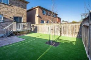 artificial grass backyard in Denver, CO