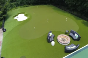 artificial grass backyard in Denver, CO